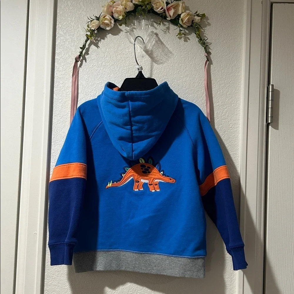 Gymboree Boys Dino Colorblock Fleece Hoodie - Dino Friends
